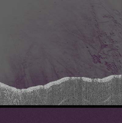 LUMISOKEA | Apophenia - Vinyl