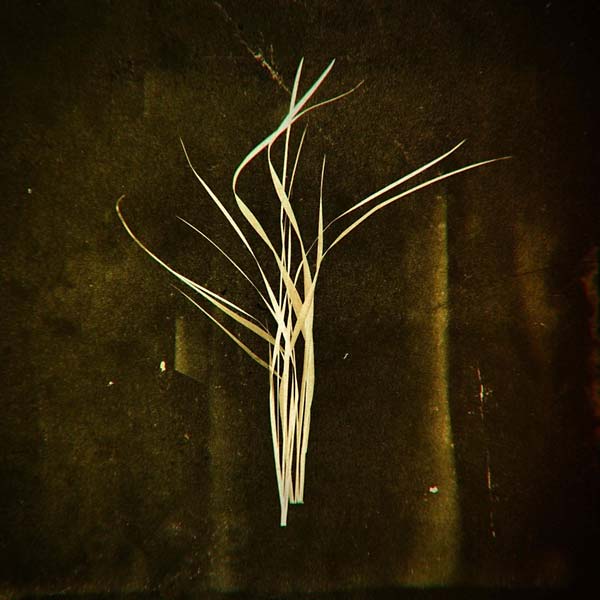 LUMISOKEA | Mnemosyne - Vinyl