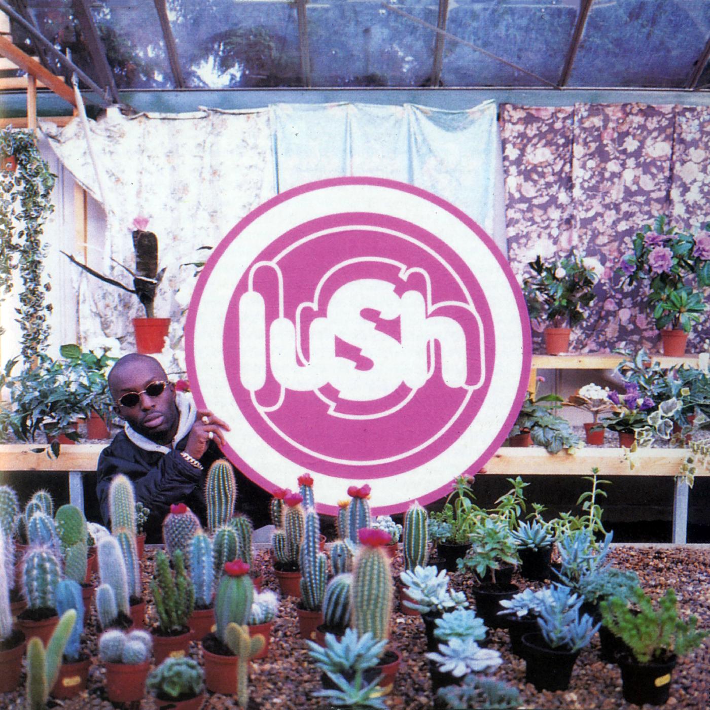Lush | Lovelife - Vinyl