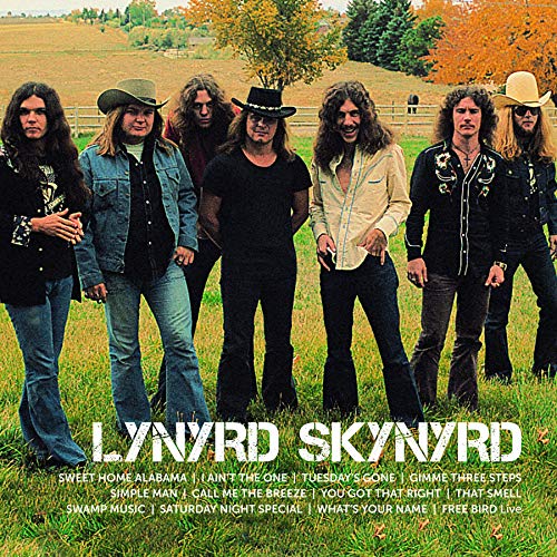 Lynyrd Skynyrd | Icon (2 Lp's) - Vinyl