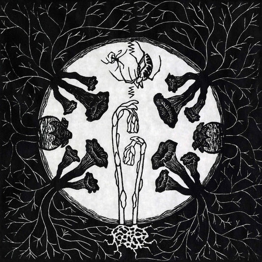 Magic Tuber Stringband | Tarantism - Vinyl
