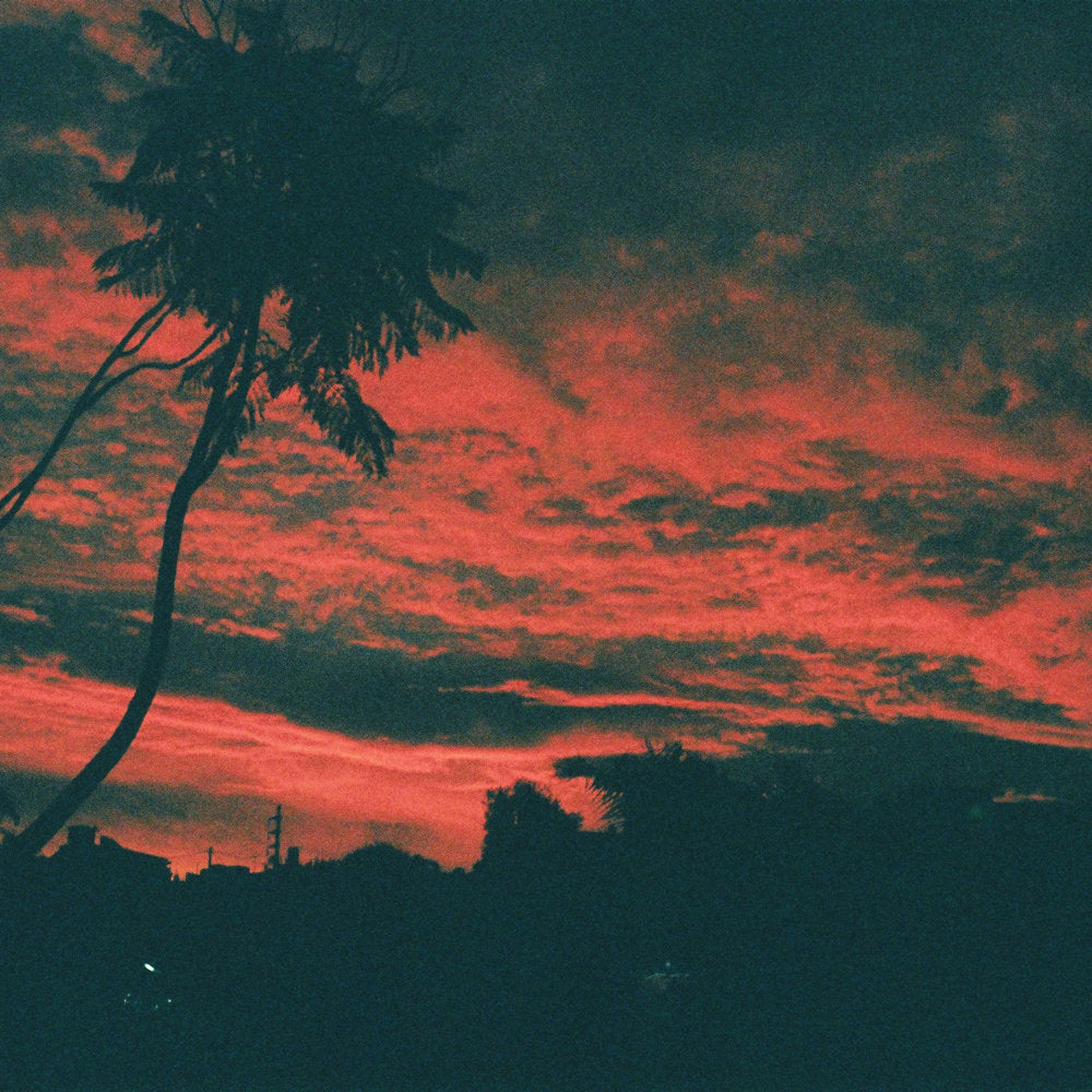 Malena Zavala | Aliso - Vinyl