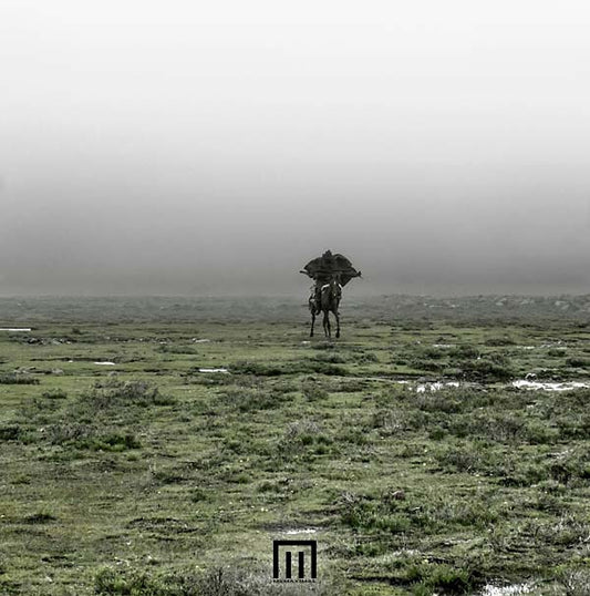 MARKUS WORMSTORM | Figure In Field - Vinyl