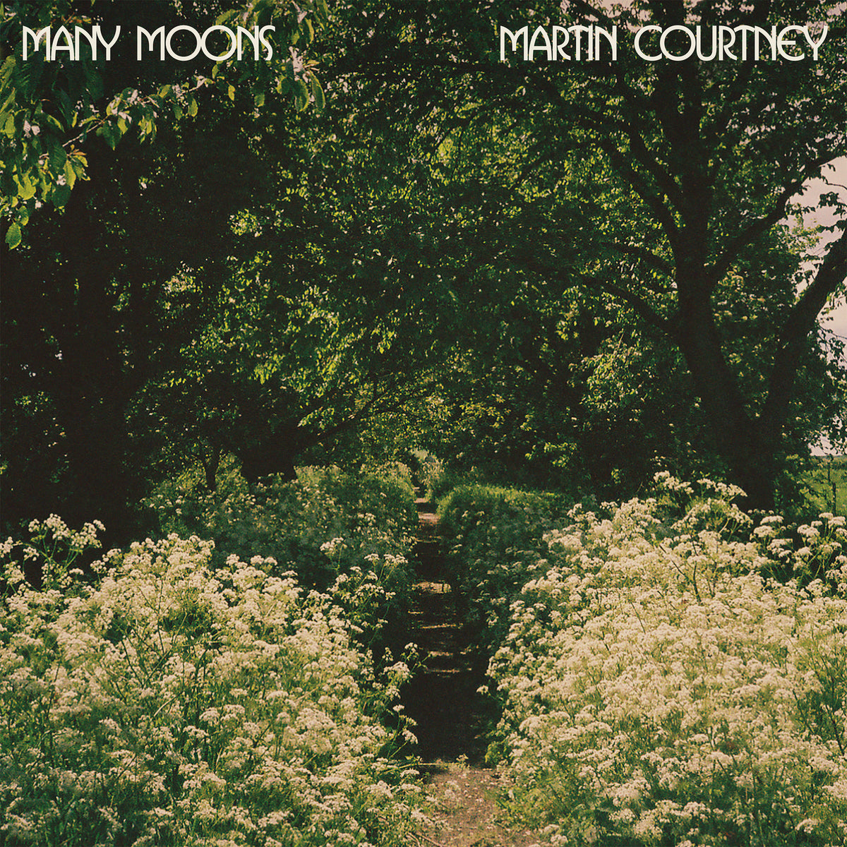 Martin Courtney | Many Moons - CD