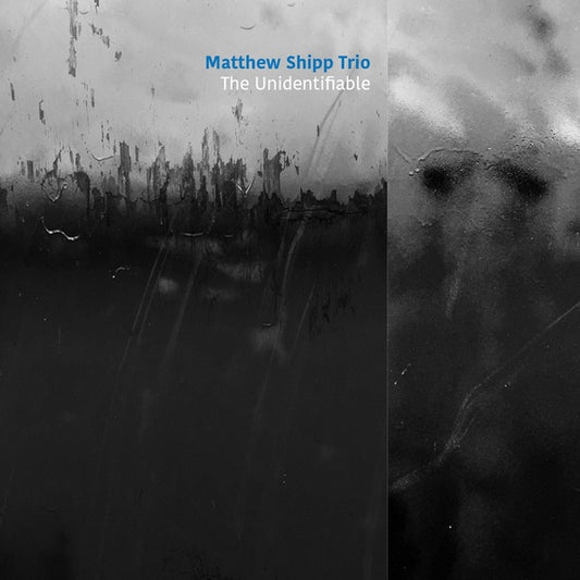 MATTHEW SHIPP TRIO | The Unidentifiable - CD