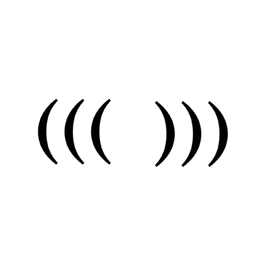 MC Paul Barman | (((echo chamber))) - Vinyl