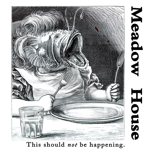 MEADOW HOUSE | This Should Not Be Happening - Vinyl