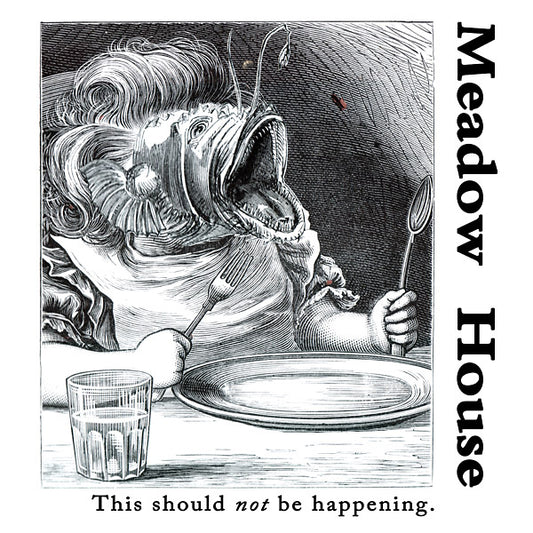 MEADOW HOUSE | This Should Not Be Happening - Vinyl