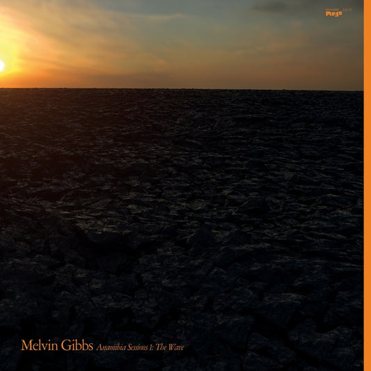 MELVIN GIBBS | Anamibia Sessions 1: The Wave - Vinyl