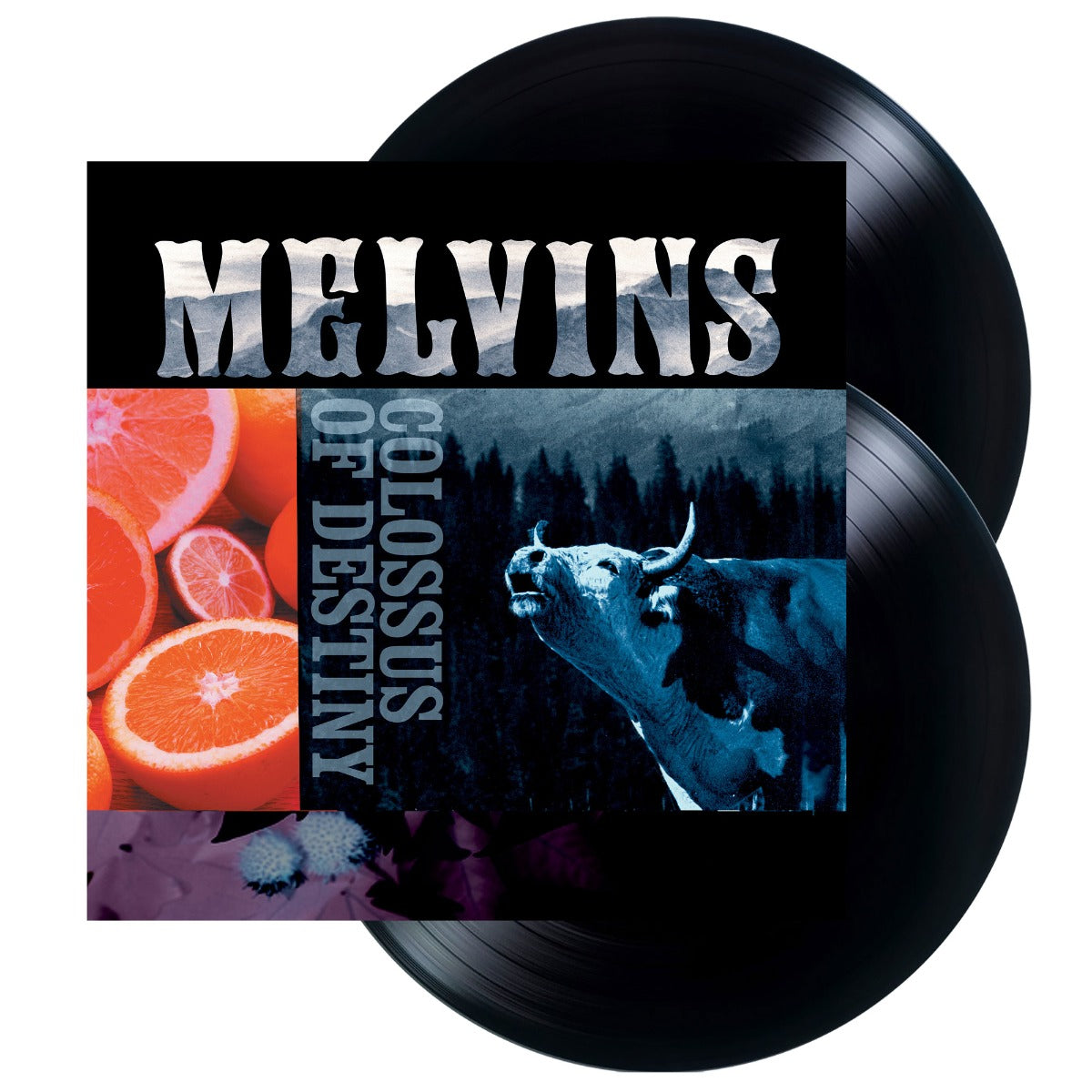 MELVINS | Colossus Of Destiny (2LP Vinyl Reissue) - Vinyl