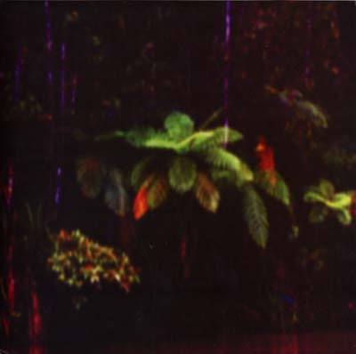 MENSTRUATION SISTERS | Puppet Island - Vinyl