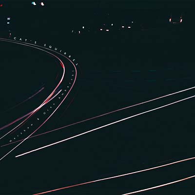 MERZBOW & OREN AMBARCHI | Cat's Squirrel - Vinyl