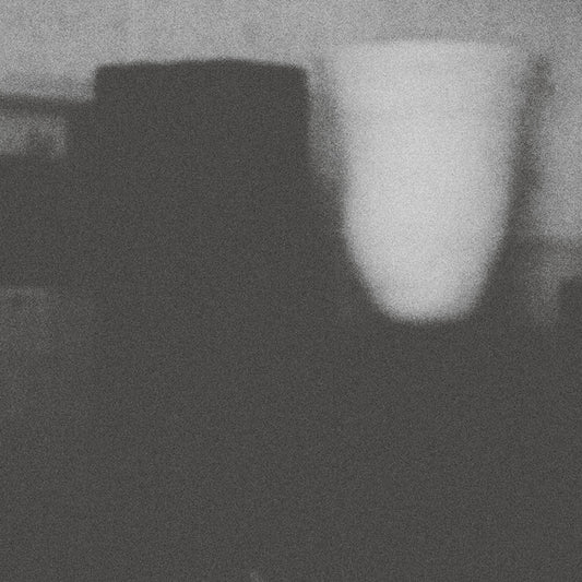 Merzbow | The Misfortune Of Virtue The Prosperity Of Vice - CD