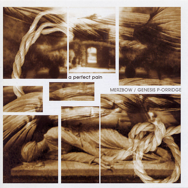 MERZBOW/GENESIS BREYER P-ORRIDGE | A Perfect Pain - CD