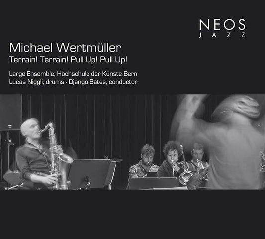 MICHAEL WERTMULLER | Terrain! Terrain! Pull Up! Pull Up! - CD