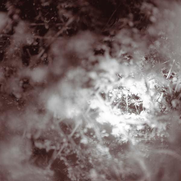 MIKE WEIS | Don't Know, Just Walk - Vinyl