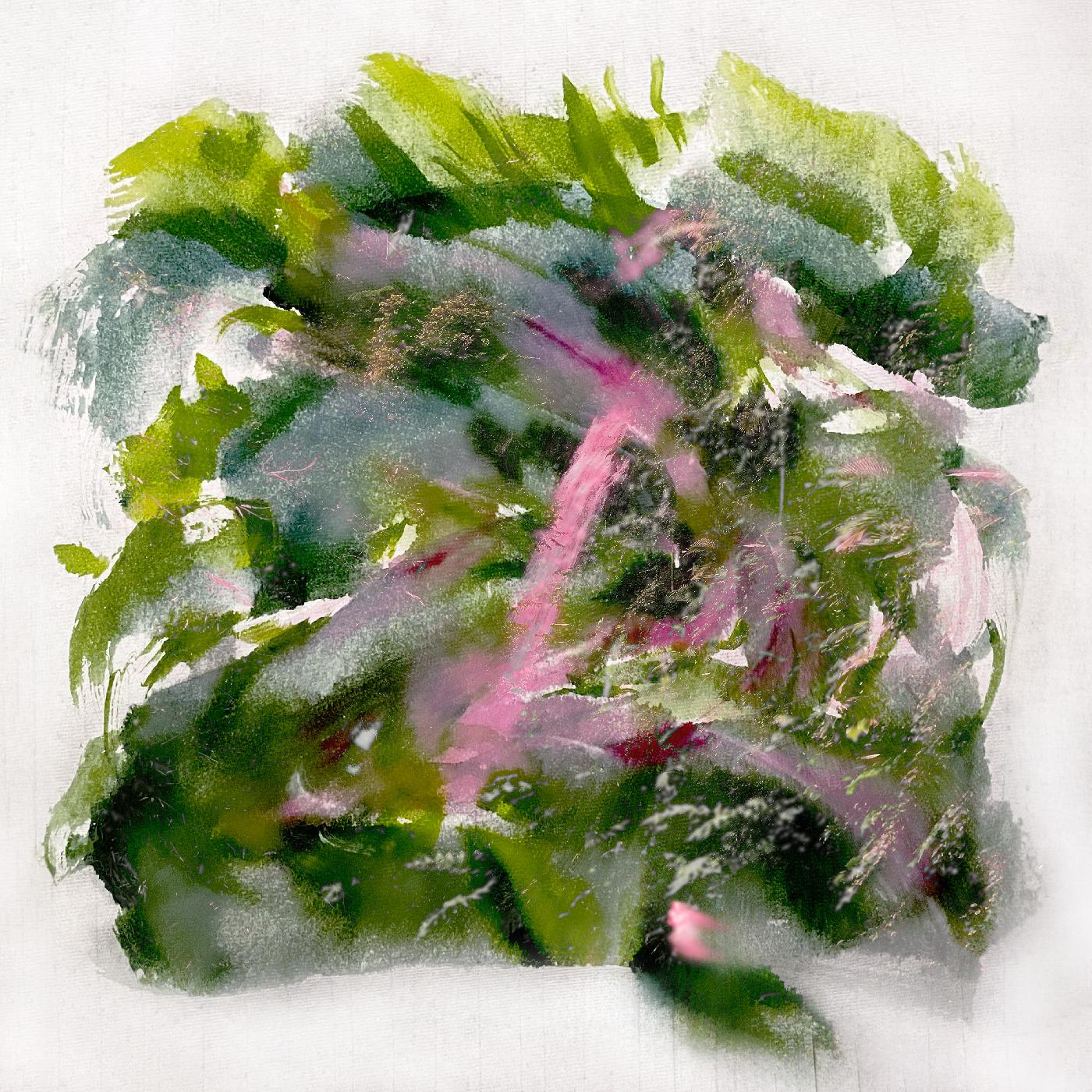 MIZU | Forest Scenes (COLOR-IN-COLOR LIGHT PINK & RED VINYL) - Vinyl