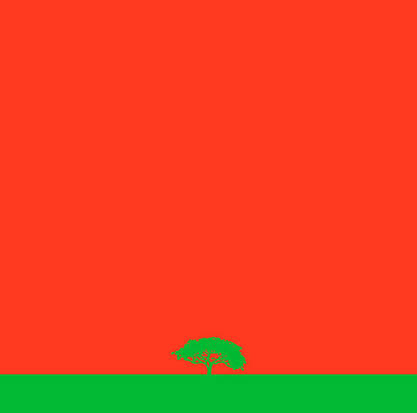 MKWAJU ENSEMBLE (MIDORI TAKADA) | MKWAJU - CD