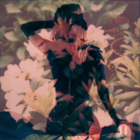 Modern Vices | Modern Vices - Vinyl