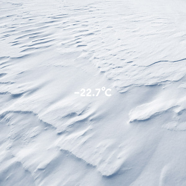 MOLECULE | -22.7°C - CD