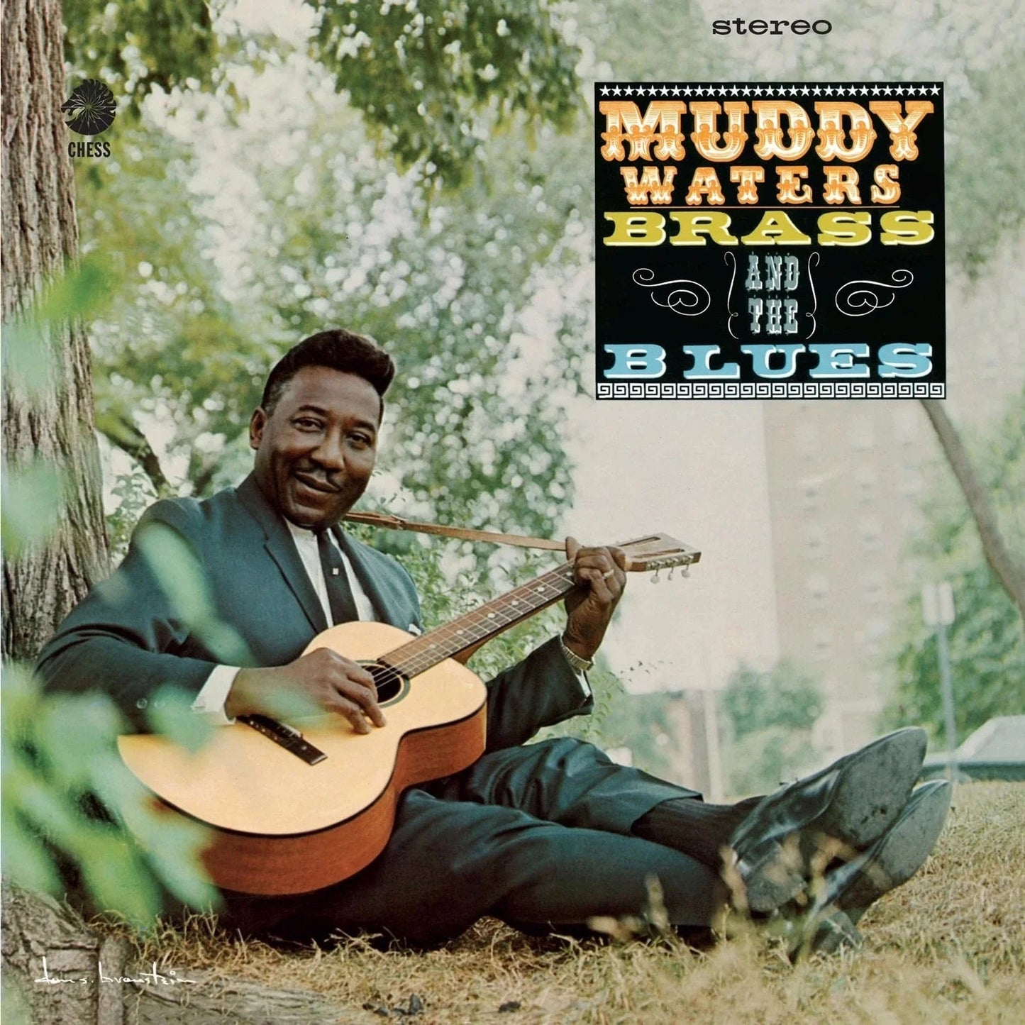 Muddy Waters | Muddy, Brass And The Blues (Chess Acoustic Sounds Series) [180G LP] - Vinyl