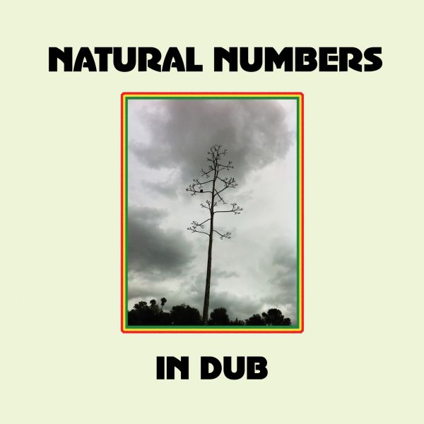 Natural Numbers | Natural Numbers in Dub - Vinyl
