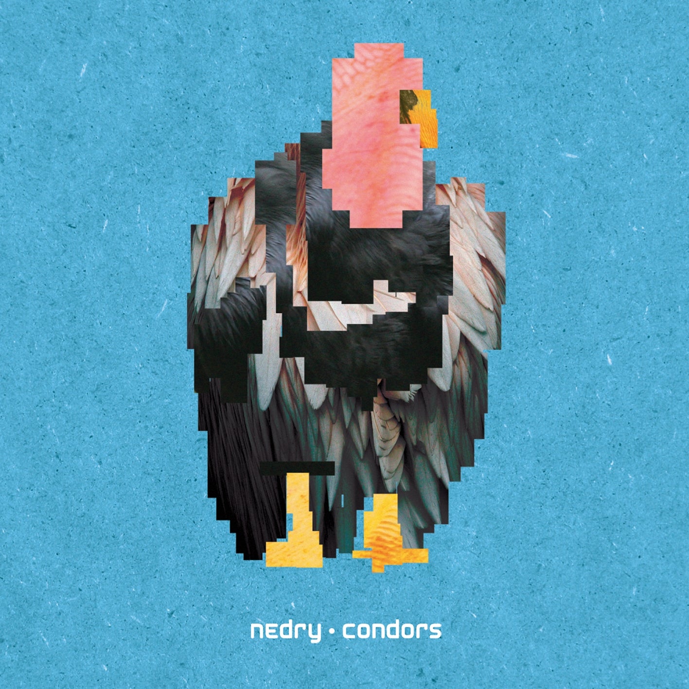 Nedry | Condors - CD