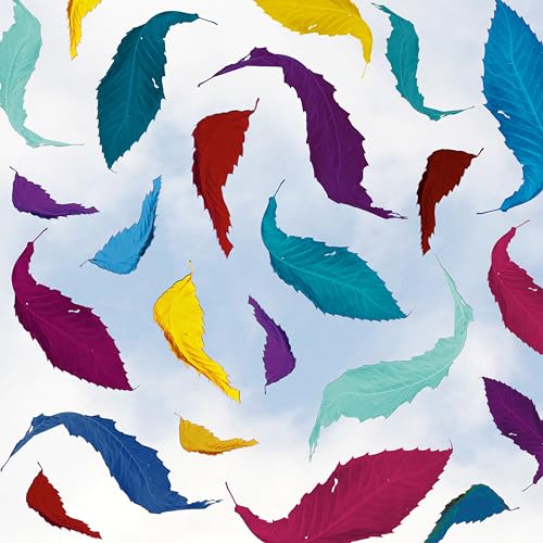 New Order | True Faith Remix (2023 Remaster) - Vinyl