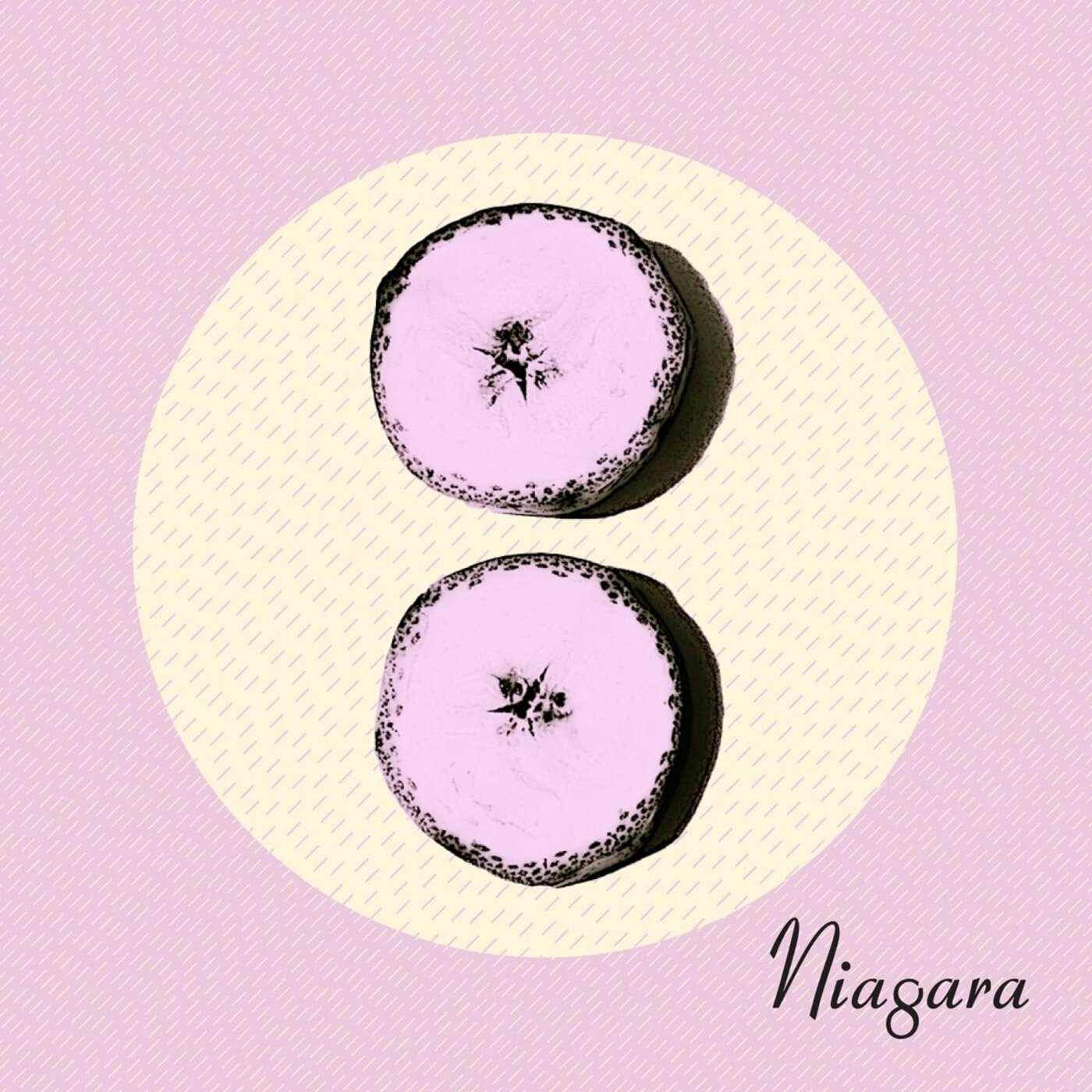 Niagara | Otto - CD
