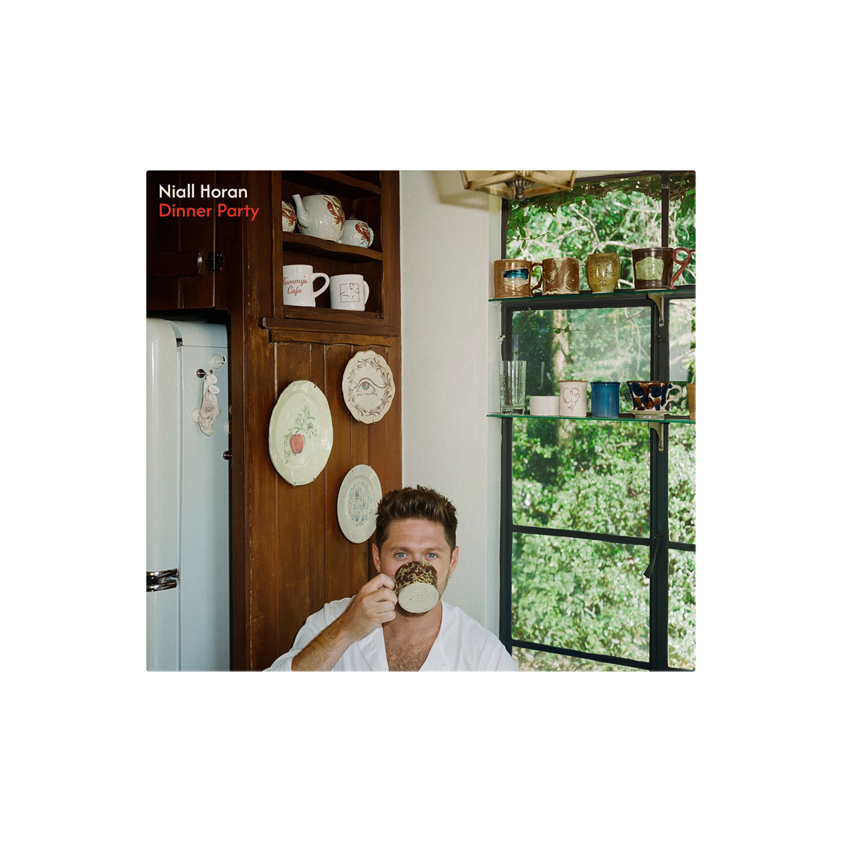 Niall Horan | Dinner Party (Signed Insert) [Porcelain LP] - Vinyl