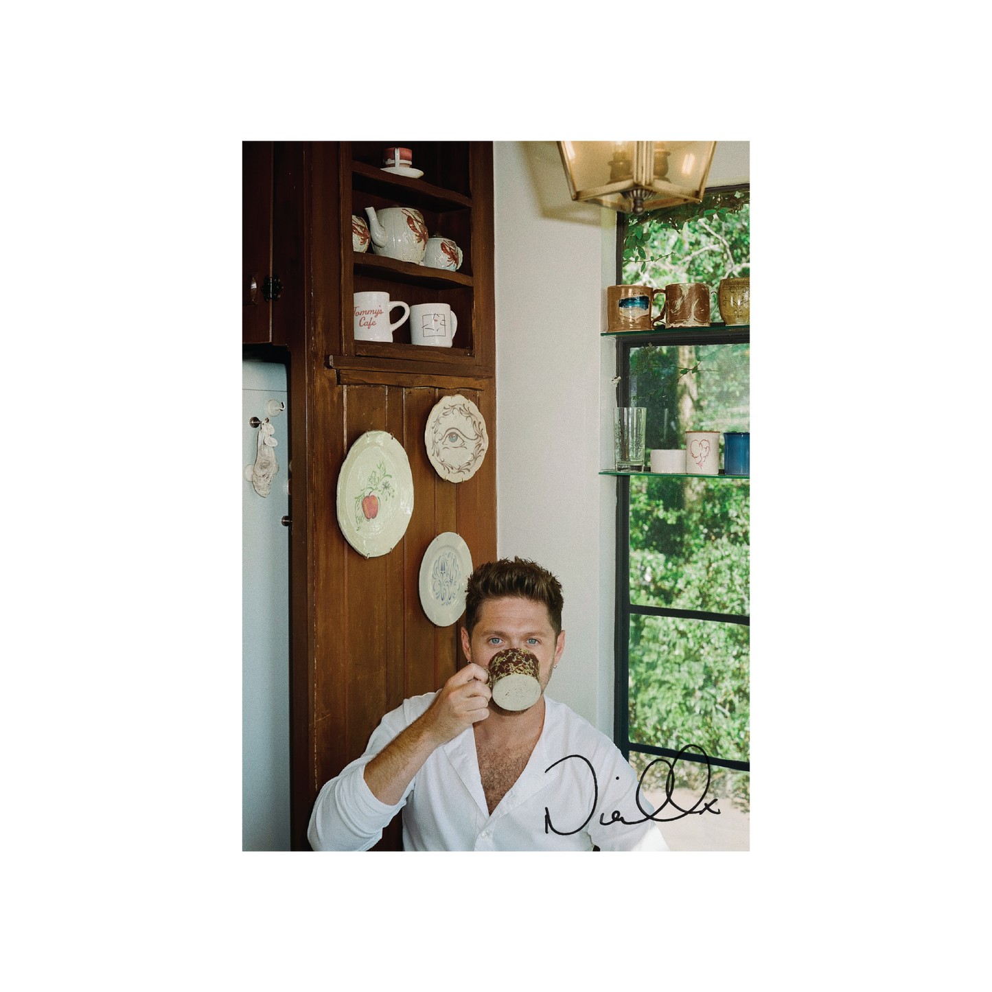 Niall Horan | Dinner Party (Signed Insert) [Porcelain LP] - Vinyl