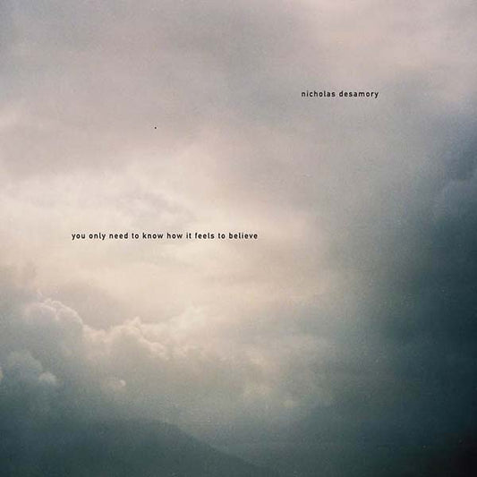NICHOLAS DESAMORY | You Only Need To Know How It Feels To Believe - Vinyl