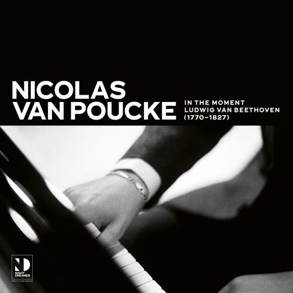 NICOLAS VAN POUCKE | In The Moment - Vinyl