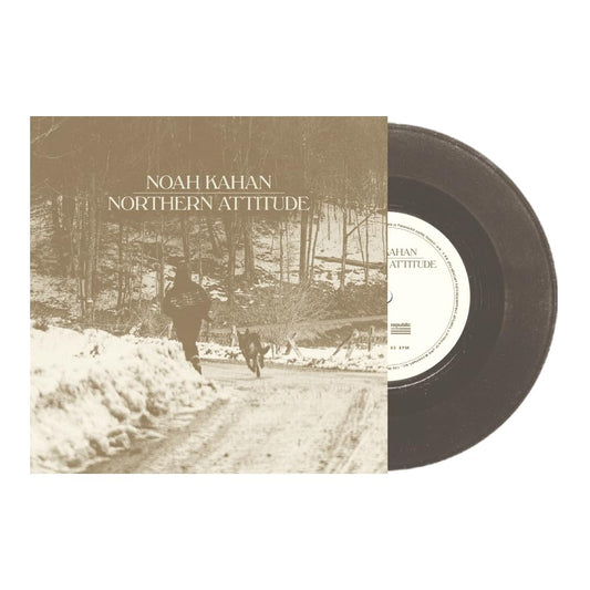 Noah Kahan | Northern Attitude (Black Ice Colored Vinyl with Poster) (7" Single) [Import] - Vinyl
