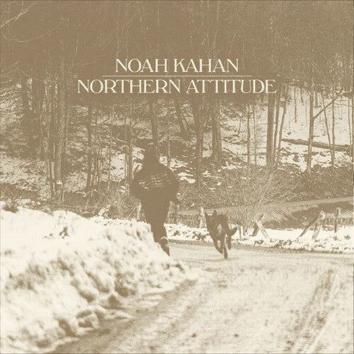 Noah Kahan | Northern Attitude (Black Ice Colored Vinyl with Poster) (7" Single) [Import] - Vinyl