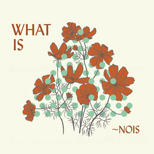 ~Nois | What Is ~Nois? - CD