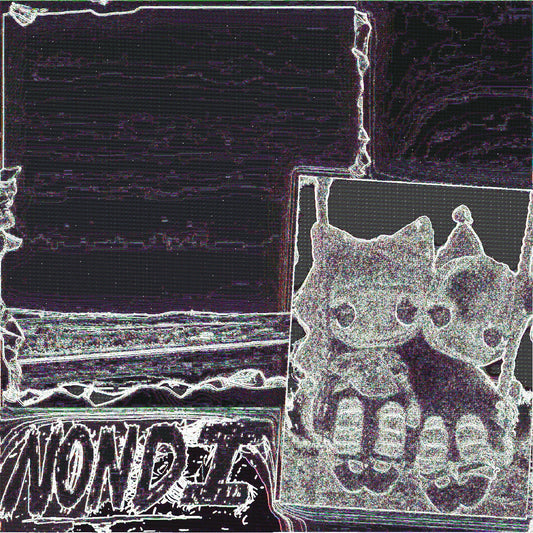 Nondi_ | Nondi... - Vinyl