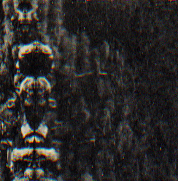 O MORTO | The Forest, The People And The Spirits - Vinyl
