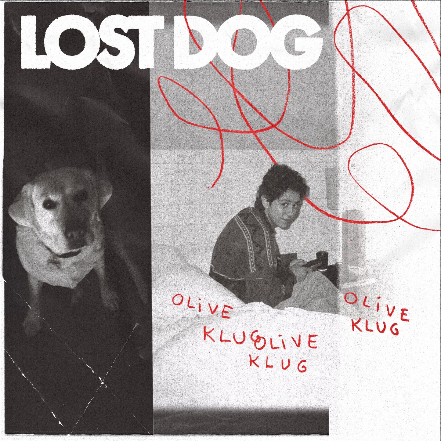 Olive Klug | Lost Dog - Vinyl