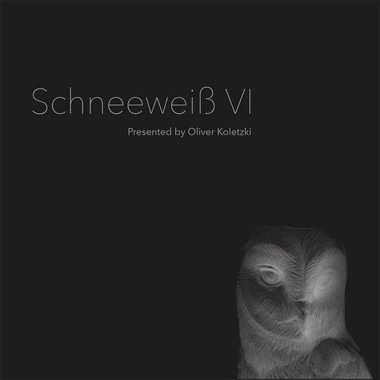 OLIVER KOLETZKI | Schneeweiss VI - CD