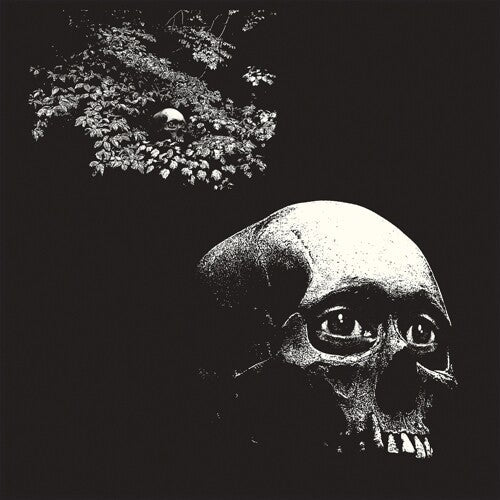 Osees | A Foul Form - Vinyl