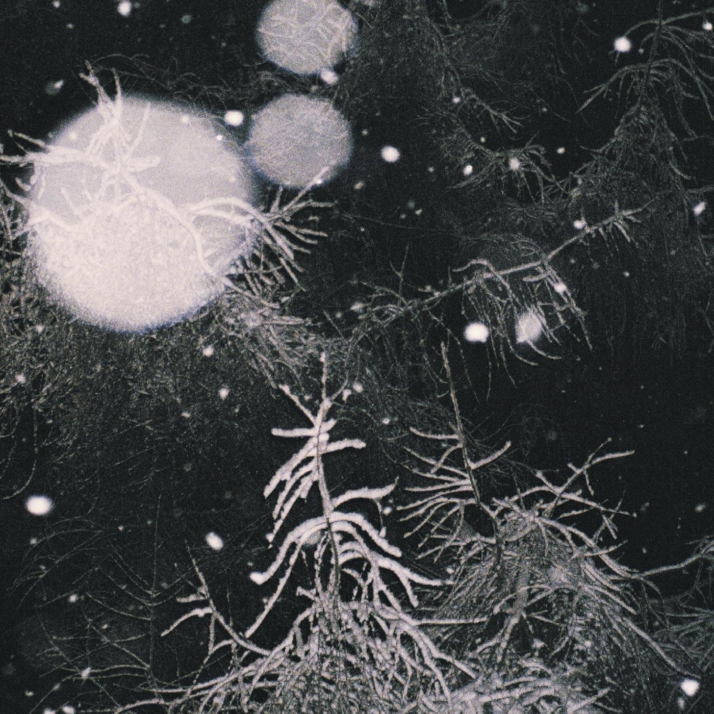 Over the Voids | Over The Voids - CD