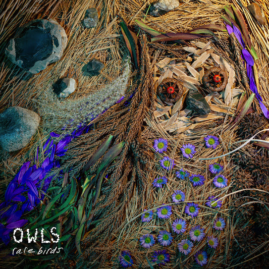 Owls | Rare Birds - Vinyl