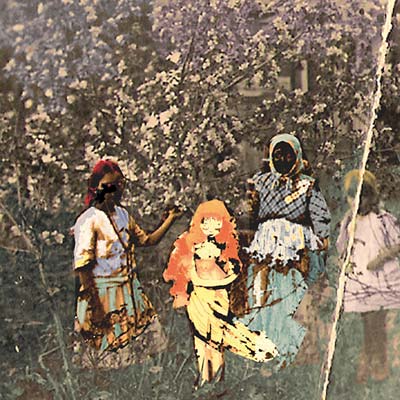 PAAVOHARJU | Laulu Laakson Kukista - CD