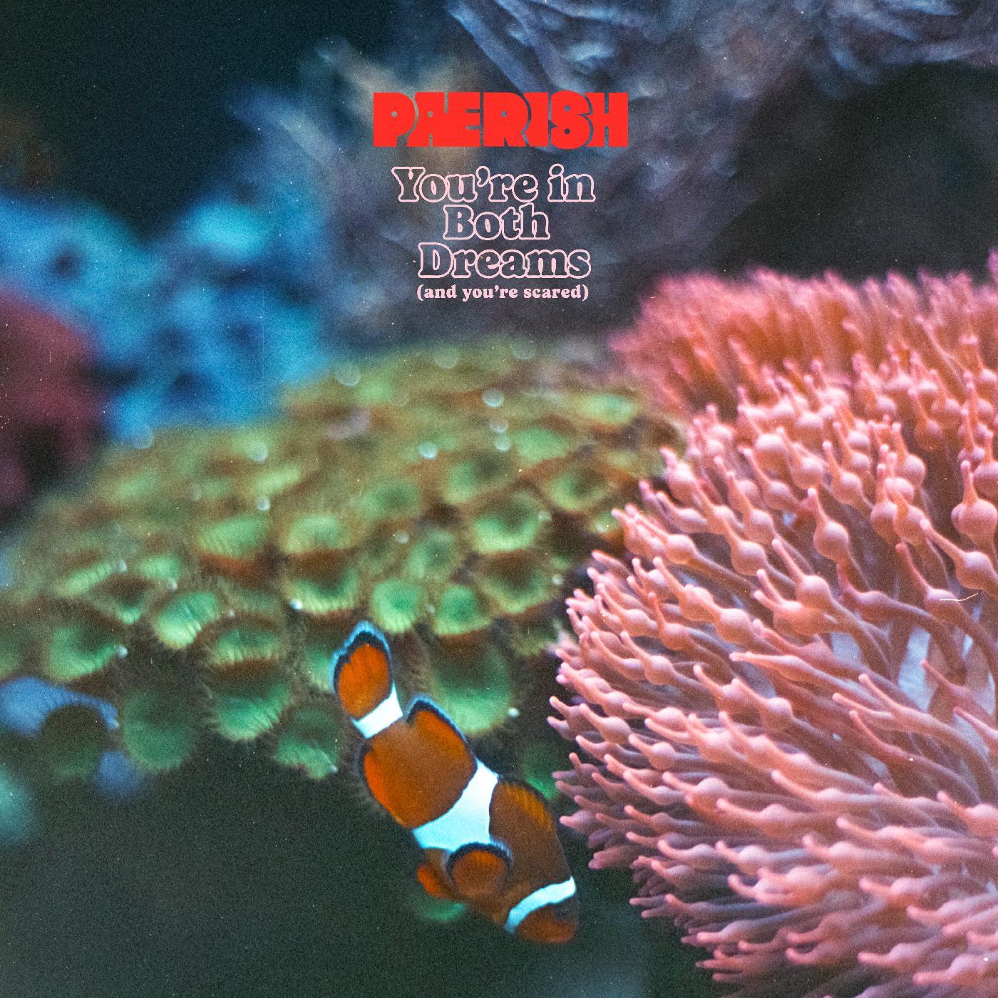 PAERISH | You're In Both Dreams (and You're Scared) - CD