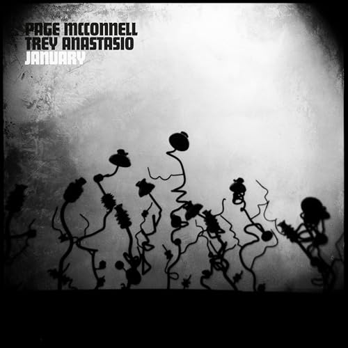 Page McConnell & Trey Anastasio | January - Vinyl