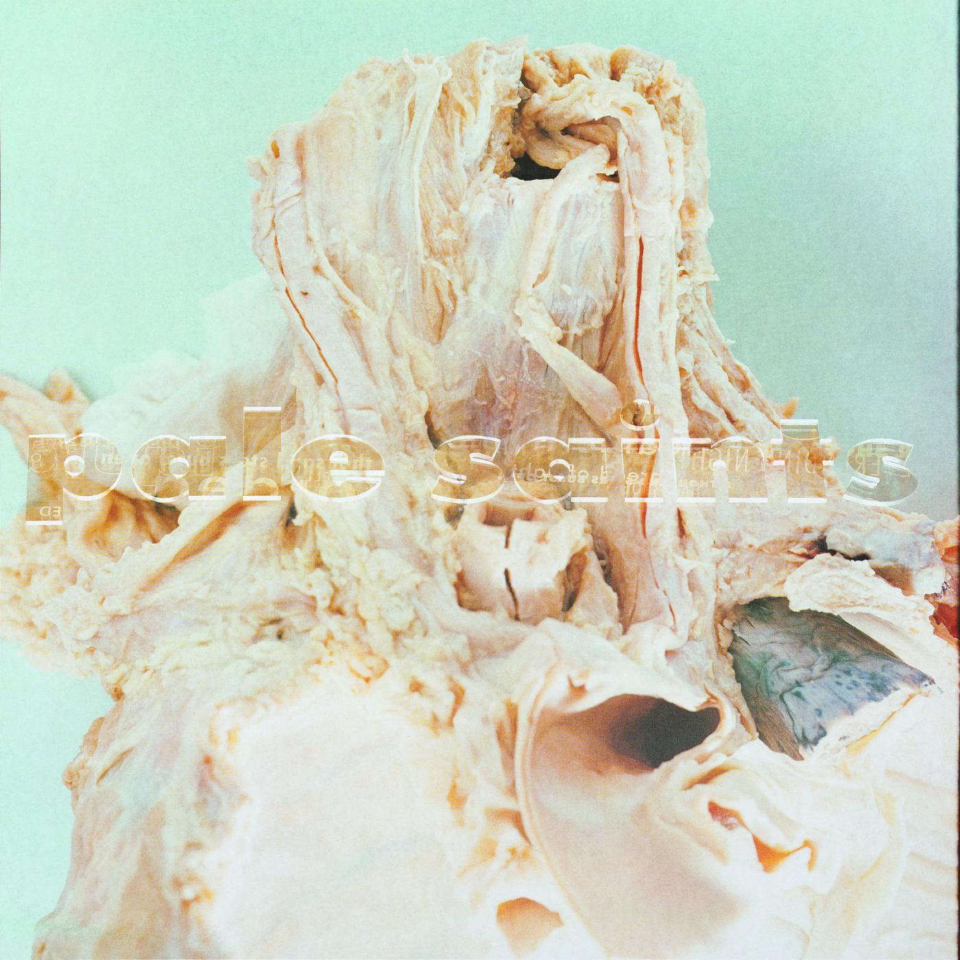 Pale Saints | In Ribbons - Vinyl