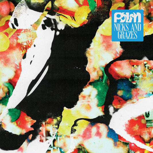 Palm | Nicks and Grazes - CD