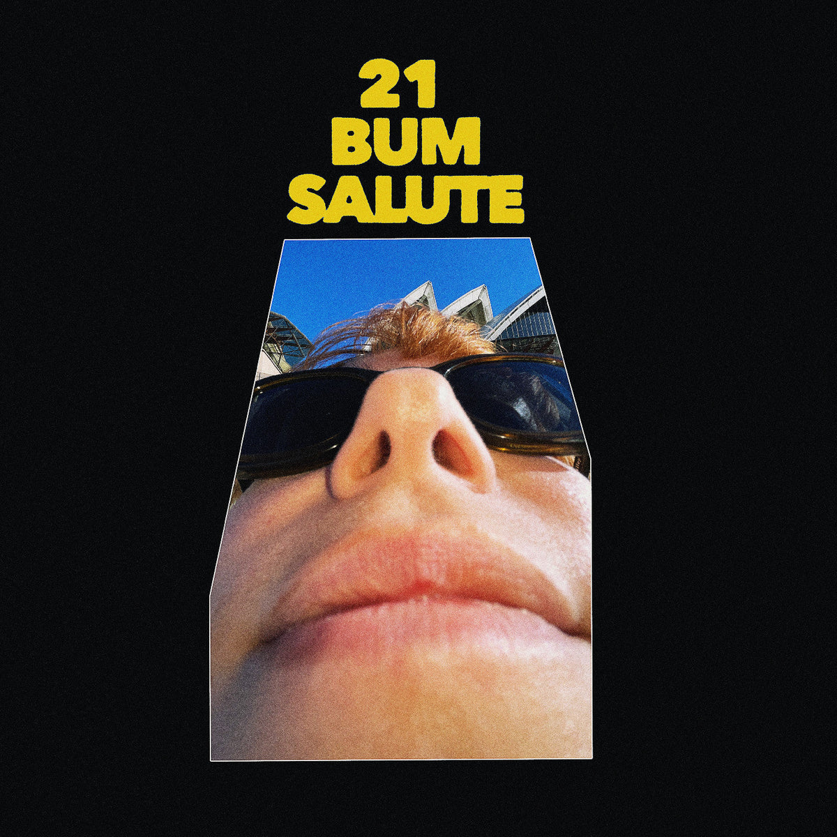 Party Dozen | 21 Bum Salute (Indie Exclusive) [Clear Vinyl] - Vinyl