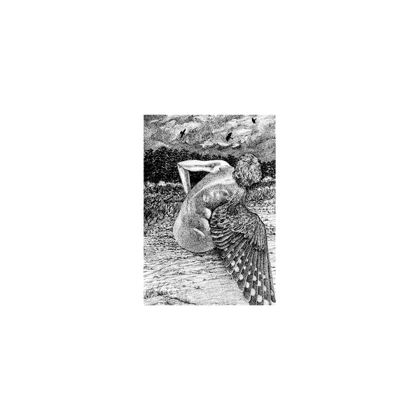 Patrick Lysaght | For The Birds [LP] - Vinyl